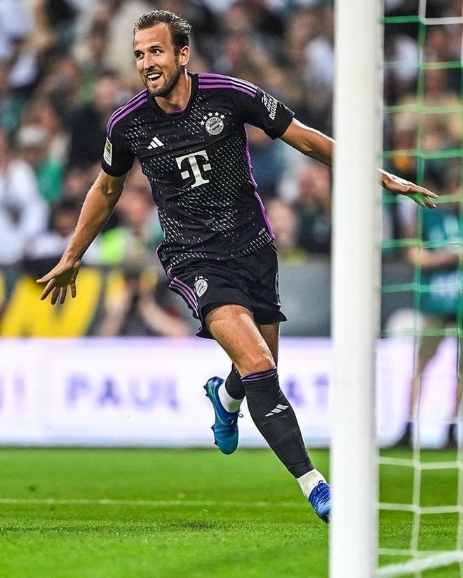 的重要一员 的重要一员