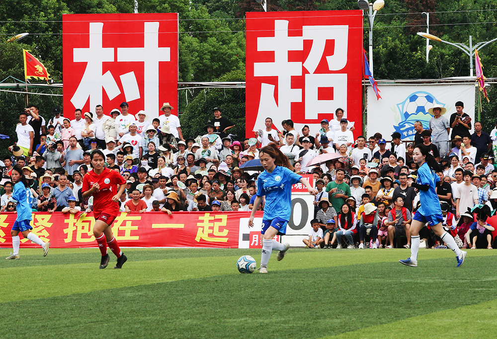 挑戰與適應 挑戰與適應